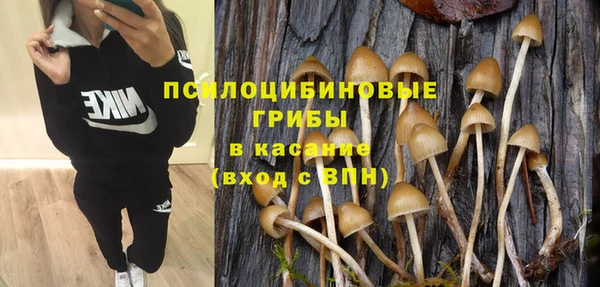 MDMA Premium VHQ Аркадак