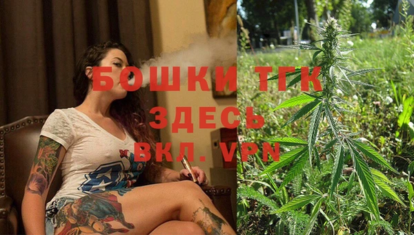 хмурый Михайловск